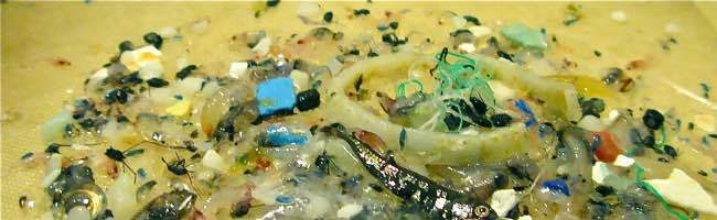 Plastic Soup Foundation: 5Gyres